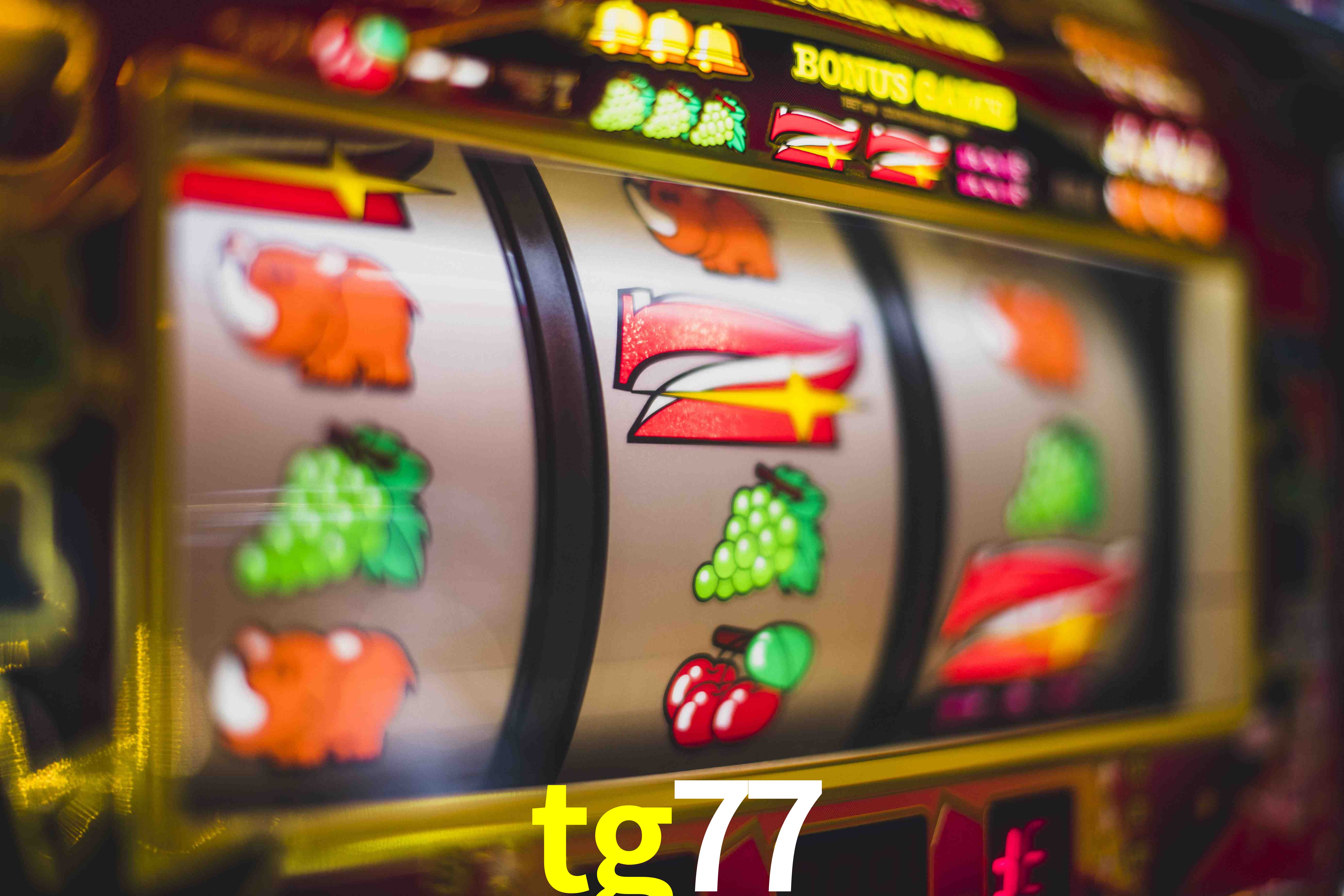 Sports Statistics tg77